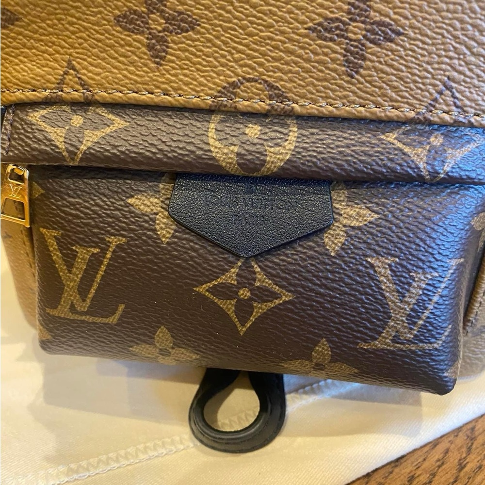 Louis Vuitton Reverse Palm Spring mini - Picture 3 of 6